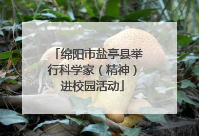 绵阳市盐亭县举行科学家（精神）进校园活动