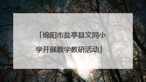 绵阳市盐亭县文同小学开展数学教研活动