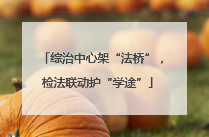 综治中心架“法桥”，检法联动护“学途”