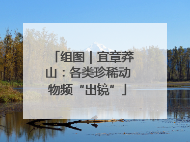 组图｜宜章莽山：各类珍稀动物频“出镜”