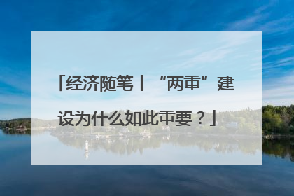 经济随笔丨“两重”建设为什么如此重要？