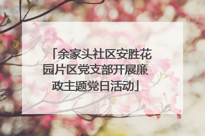 余家头社区安胜花园片区党支部开展廉政主题党日活动