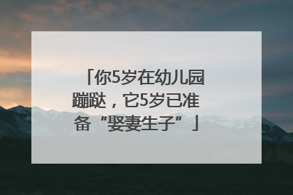 你5岁在幼儿园蹦跶，它5岁已准备“娶妻生子”