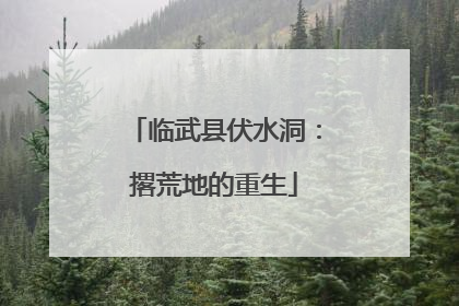 临武县伏水洞：撂荒地的重生