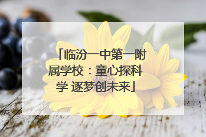 临汾一中第一附属学校：童心探科学 逐梦创未来