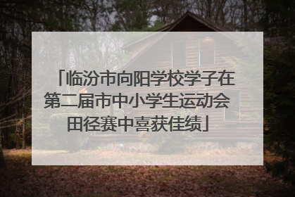 临汾市向阳学校学子在第二届市中小学生运动会田径赛中喜获佳绩