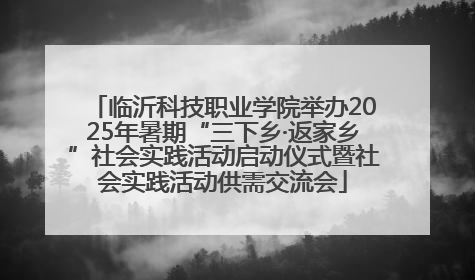 临沂科技职业学院举办2025年暑期“三下乡·返家乡”社会实践活动启动仪式暨社会实践活动供需交流会