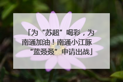 为“苏超”喝彩，为南通加油！南通小江豚“蓝叒叒”申请出战
