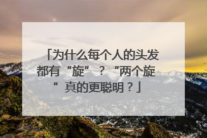 为什么每个人的头发都有“旋”？“两个旋”真的更聪明？