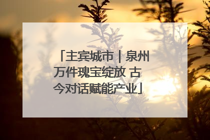 主宾城市｜泉州万件瑰宝绽放 古今对话赋能产业