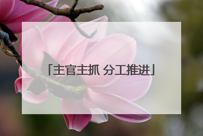 主官主抓 分工推进