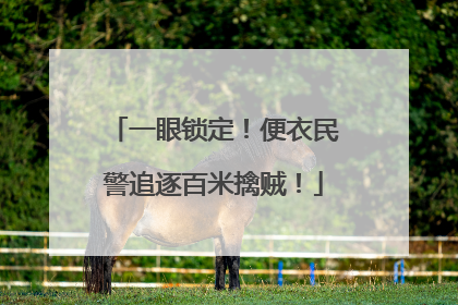 一眼锁定！便衣民警追逐百米擒贼！