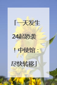 一天发生24起恐袭！中使馆：尽快转移