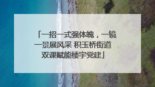 一招一式强体魄，一镜一景展风采 积玉桥街道双课赋能楼宇党建