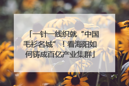 一针一线织就“中国毛衫名城”！看海阳如何铸成百亿产业集群