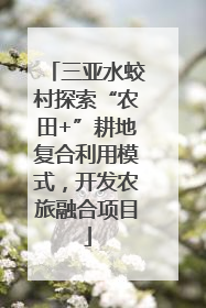 三亚水蛟村探索“农田+”耕地复合利用模式，开发农旅融合项目