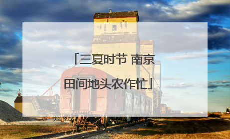 三夏时节 南京田间地头农作忙