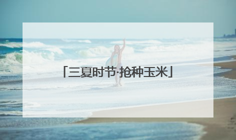 三夏时节·抢种玉米