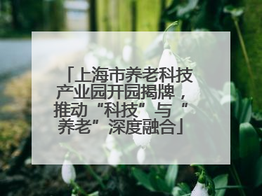 上海市养老科技产业园开园揭牌，推动“科技”与“养老”深度融合