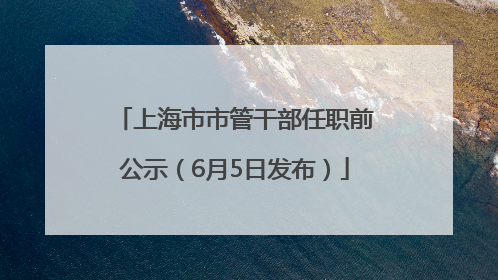 上海市市管干部任职前公示（6月5日发布）