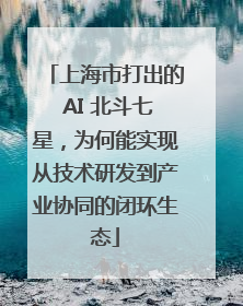 上海市打出的 AI 北斗七星，为何能实现从技术研发到产业协同的闭环生态