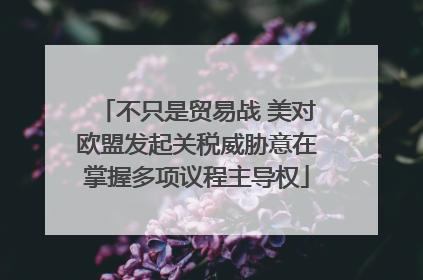 不只是贸易战 美对欧盟发起关税威胁意在掌握多项议程主导权