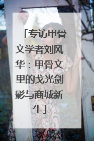专访甲骨文学者刘风华：甲骨文里的戈光剑影与商城新生