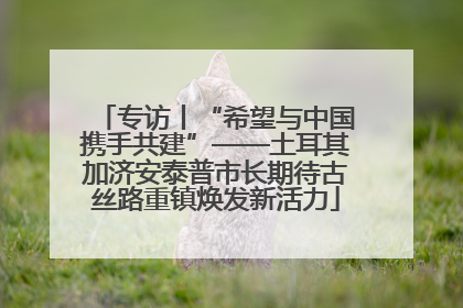 专访丨“希望与中国携手共建”——土耳其加济安泰普市长期待古丝路重镇焕发新活力