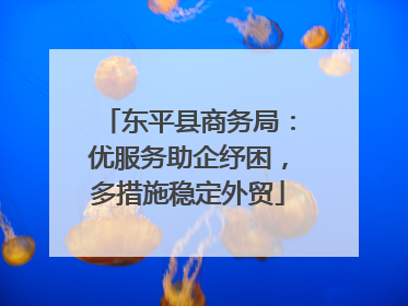 东平县商务局：优服务助企纾困，多措施稳定外贸