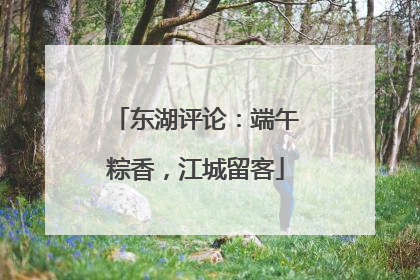 东湖评论：端午粽香，江城留客