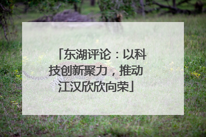 东湖评论：以科技创新聚力，推动江汉欣欣向荣