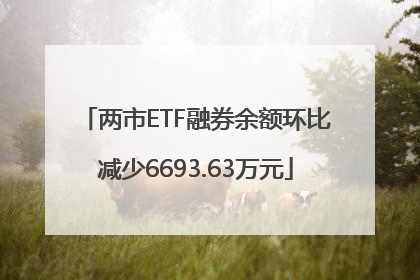 两市ETF融券余额环比减少6693.63万元