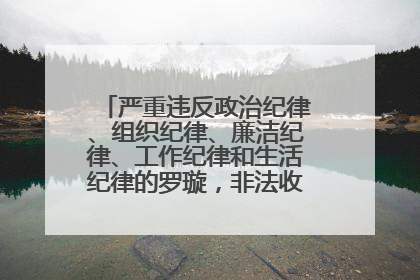 严重违反政治纪律、组织纪律、廉洁纪律、工作纪律和生活纪律的罗璇，非法收受他人巨额财物