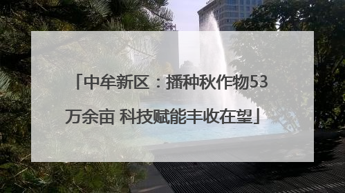 中牟新区：播种秋作物53万余亩 科技赋能丰收在望