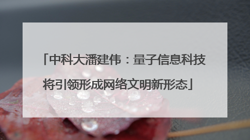 中科大潘建伟：量子信息科技将引领形成网络文明新形态