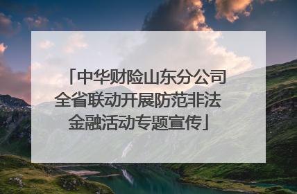 中华财险山东分公司全省联动开展防范非法金融活动专题宣传