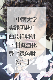 中南大学实践团赴广西凭祥调研：甘蔗渣化身“绿色财富”