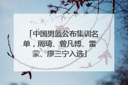 中国男篮公布集训名单，周琦、曾凡博、雷蒙、廖三宁入选