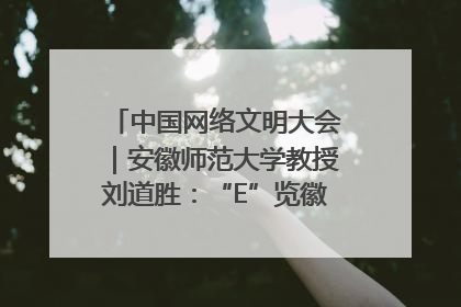 中国网络文明大会｜安徽师范大学教授刘道胜：“E”览徽风，构筑中华民族共有精神家园