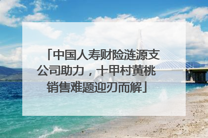 中国人寿财险涟源支公司助力，十甲村黄桃销售难题迎刃而解
