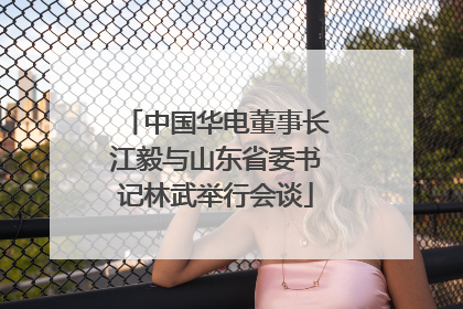 中国华电董事长江毅与山东省委书记林武举行会谈