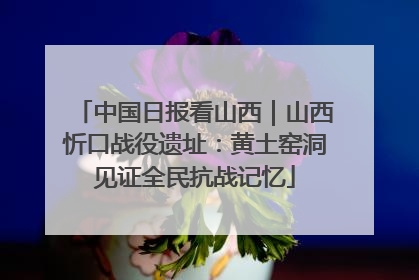 中国日报看山西｜山西忻口战役遗址：黄土窑洞见证全民抗战记忆