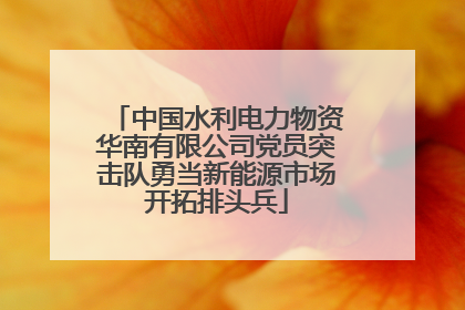中国水利电力物资华南有限公司党员突击队勇当新能源市场开拓排头兵
