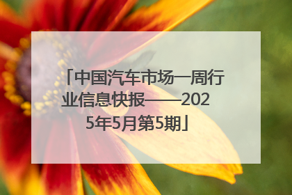 中国汽车市场一周行业信息快报——2025年5月第5期