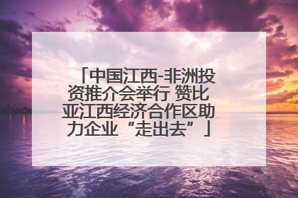 中国江西-非洲投资推介会举行 赞比亚江西经济合作区助力企业“走出去”