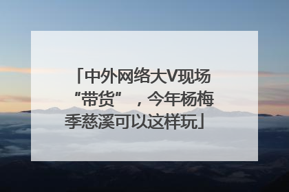 中外网络大V现场“带货”，今年杨梅季慈溪可以这样玩