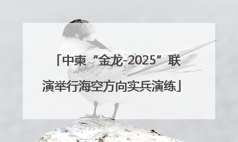 中柬“金龙-2025”联演举行海空方向实兵演练