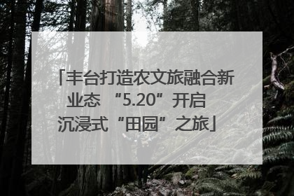 丰台打造农文旅融合新业态 “5.20”开启沉浸式“田园”之旅