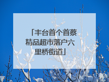 丰台首个首蔡精品超市落户六里桥街道