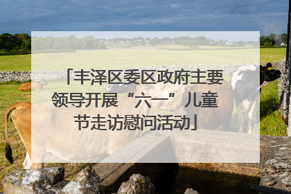 丰泽区委区政府主要领导开展“六一”儿童节走访慰问活动